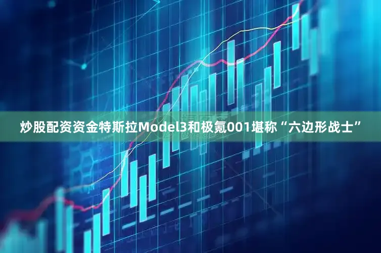 炒股配资资金特斯拉Model3和极氪001堪称“六边形战士”