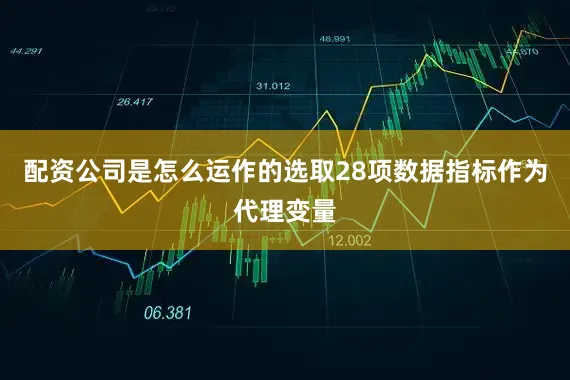 配资公司是怎么运作的选取28项数据指标作为代理变量