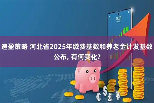 速盈策略 河北省2025年缴费基数和养老金计发基数公布, 有何变化?