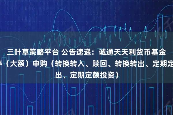 三叶草策略平台 公告速递：诚通天天利货币基金基金暂停（大额）申购（转换转入、赎回、转换转出、定期定额投资）